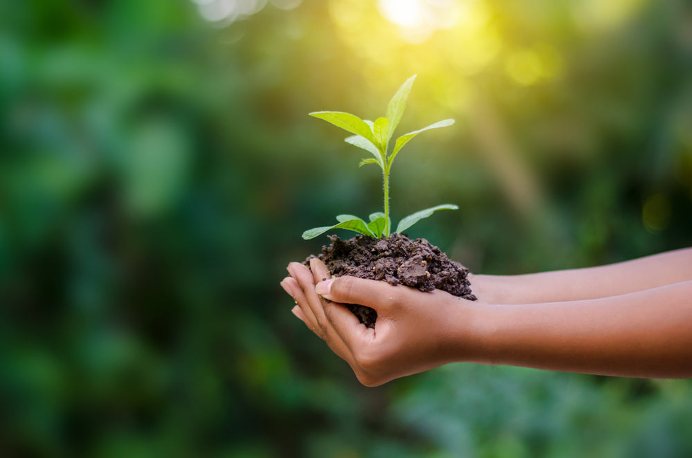 4 Ways to Make Your Skincare Routine More Sustainable